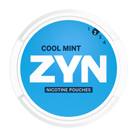 ZYN - Cool Mint No.2 (Mini dry)