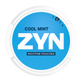 ZYN - Cool Mint No.2 (Mini dry)