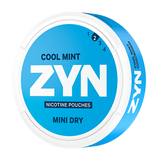 ZYN - Cool Mint No.2 (Mini dry)