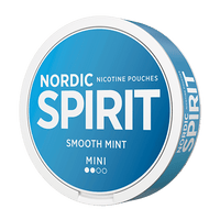 Nordic Spirit - Smooth Mint Mini #2 - Nic Pouch UK